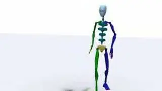 motion capture data Walk -Normal-