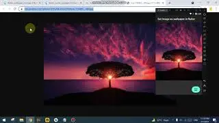How we can set image as wallpaper in flutter || Wallpaper set as home or lock screen in flutter