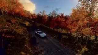 DiRT Rally 2.0