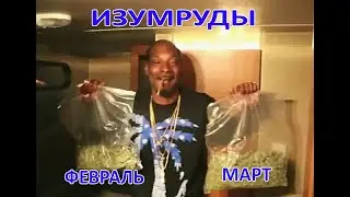Путь героя Март 2023 в изюме.  Сравнение с Февралем 2023. Хроники хаоса Мобильная 