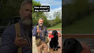 What’s your definition of a well trained retrieve? 