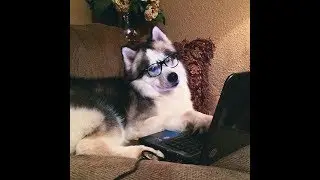 How to play CSGO with high ping!
