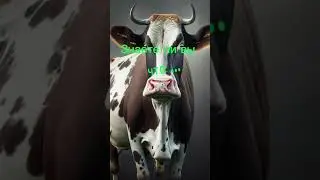 А Вы знали подпишись тут очень очень интересно 😘