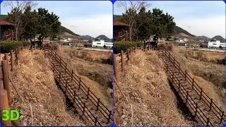 3D video, Seaside Park & White Plum blossom, Prunus mume, Magic eye, SBS, Stereo 3D video