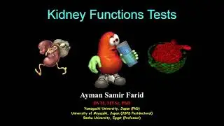 Kidney Function Tests