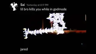tmodLoader discord server being cursed for 1 minute and 14 seconds