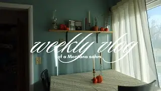 Weekly Vlog with a Montana Sahm
