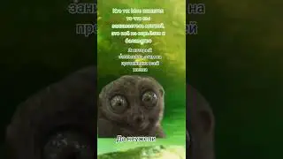 мда😑 #жиза #магия #духовноеразвитие #духовность #колдовство #эзотерика