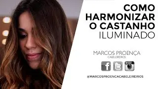 COMO HARMONIZAR O CASTANHO ILUMINADO