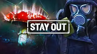 ⭕Stalker Online | Stay Out ► СОБРАТЬ МУХОМОРЫ для целебного Отвара 🍄 #stalkeronline #stayout