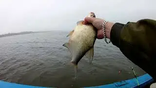 IT ALSO HAPPENS! FISHING FOR BREAM FROM A BOAT. Upper VOLGA.