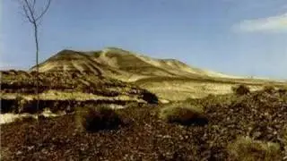 Desert Dreams