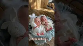 Newborn twins. Newborn photo shoot. cute newborn babies #newborneducation #newbornphotography