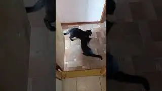 ЗАПОРОЖЬЕ ЛУЧШИЕ ПОДРУЖКИ 🥰🥰🥰