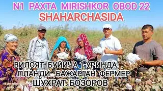 ПАХТА N1 ВИЛОЯТДА 1-УРИНДА ПЛАНДИ БАЖАРГАН МИРИШКОРЛИК ФЕРМЕР ШУХРАТ БОЗОРОВ АКА
