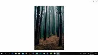Get Free Non Copyrighted Videos And Image ||  For Blog,website or Youtube Channel | tricky helpers