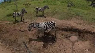 Lago Nakuru
