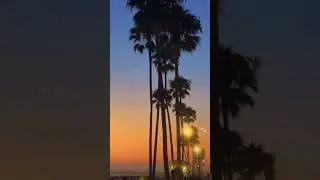 Sunset glow at Newport Beach #travel #beach  #california #sunset #shorts
