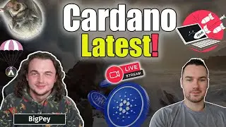 Cardano DDOS Attack Outcome, Atrium Airdrop and Memecoin Takeover
