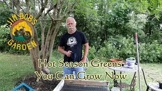 Hot Season Greens You Can Grow Now