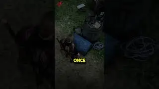The Importance Of Clearing Your Bounty In Red Dead Online