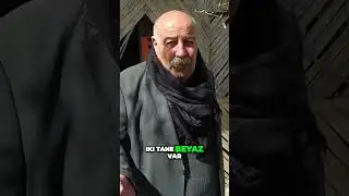 Eski Günlerdeki Sıradışı Hayvanlar Şimdi Neredeler