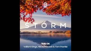 Valiant Kings, Hector Reverb & Tom Franke - I'll Be OK (Storm Music Group)