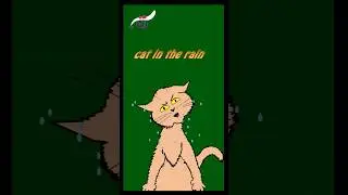 cat in the rain green screen  #shortvideo #funny #practice #green #animeshorts #shortvideo #art