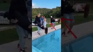 very interested videos and so funny