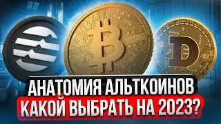 HOW TO CHOOSE AN ALTCOIN FOR 2023 WITH HUNDREDS OF X'S!! COIN ANATOMY! BITCOIN FORECAST
