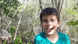 Exploração na floresta parte 1