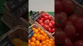 #томаты