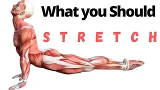 What You Should Stretch