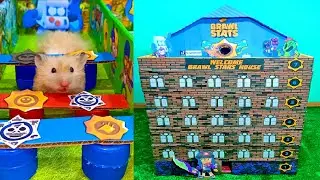 Hamster Brawl Stars Maze 7 floors (hamster Fiksiki)