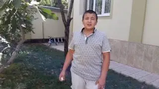Эксперемент с яйцами
