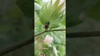 Nature love ❤️ #nature #naturephotography #naturelovers #naturebeauty #naturevideos