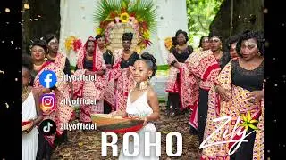 ROHO ZILY