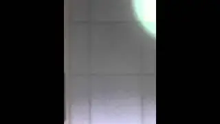 IMG 1951