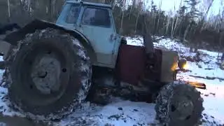 СЕЛИ НА ТРАКТОР и РВАНУЛИ В ТАЙГУ!!! ВЫСТАВИЛ КАПКАНЫ НА СОБОЛЯ.
