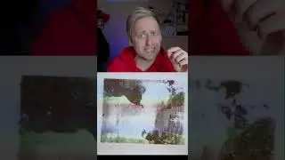 Сможешь пройти тест на шизофрению? И не завалить его?))) 