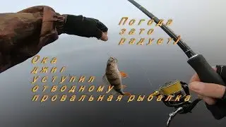Рыбалка на Оке. Джиг, отводной, проводка