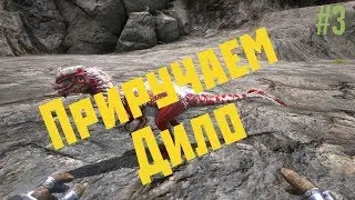 Как приручить дилофозавра, раптора. Выживалка Ark mobile