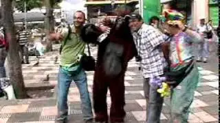 Primates tomándose una foto