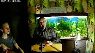 Николай и Илья Вяткин. Песня Виктора Цоя.