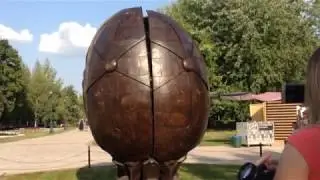 Сад в яйце