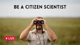 Be a Citizen Scientist - eBird