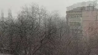 Шум падаючого  снігу за вікном.