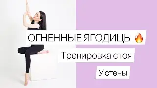 ПИЛАТЕС для ЯГОДИЦ у стены | пилатес для начинающих 🔥🔥