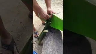 Sweet potato in a bamboo