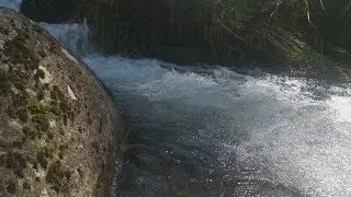 Пикник на природе. Горы, речка, ёлочки. Город Алматы.
